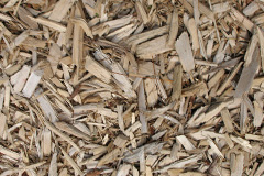 biomass boilers Norton Le Clay